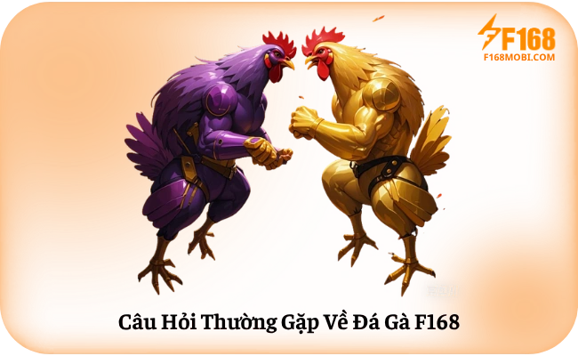 Cau Hoi Thuong Gap Ve Da Ga F168 Câu Hỏi Thường Gặp Về Đá Gà F168