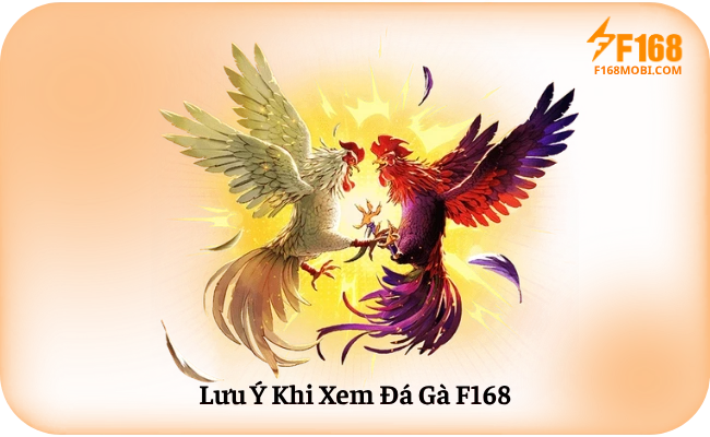 Luu Y Khi Xem Da Ga F168 Lưu Ý Khi Xem Đá Gà F168