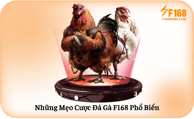 Nhung Meo Cuoc Da Ga F168 Pho Bien Những Mẹo Cược Đá Gà F168 Phổ Biến